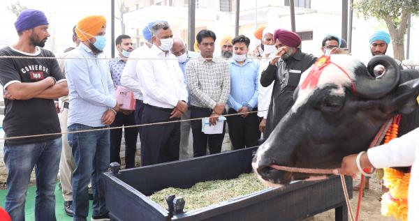 Dr. Inderjeet Singh, Vice Chancellor, GADVASU and other officers visit the stall of Nili Ravi buffalo on 18th March,2021